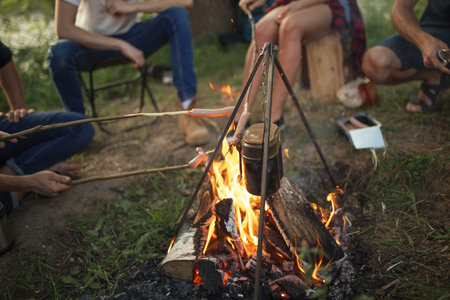yummy sausages preparing in nature. close up photo