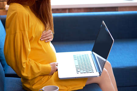 side view on cropped pregnant lady using laptop, redhead woman in dress sit on sofa in living room, look at screen of laptop and stroke bellyの写真素材