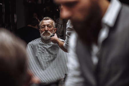 Close up of a hairdresser s work for a handsome respectable old-aged bearded man at the barber shop. He is doing styling with the electric shaver.の写真素材