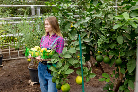 attractive charming girl picked lemons for sale. close up side view photo. copy spaceの写真素材