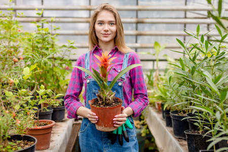 gorgeous female gardener with planted pink flower on hands looking at the camera . gift for mother. grown with love. plant careの写真素材