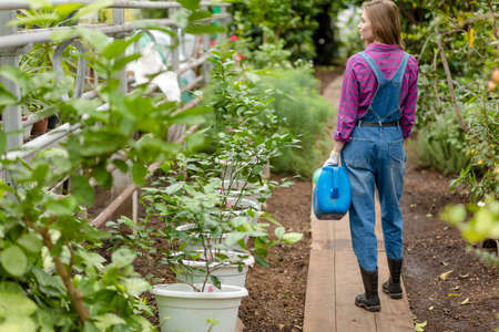 young woman is standing with watering can in the garden. back view photo. copy spaceの写真素材