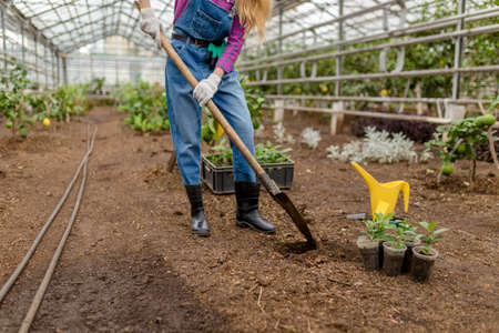 gardener making a hole to plant flowers in the garden. close up cropped side view photoの写真素材