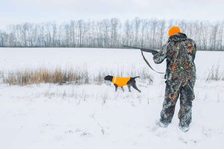 cute dog is smelling an animal during the hunting. back view shot. copy space. getemの写真素材