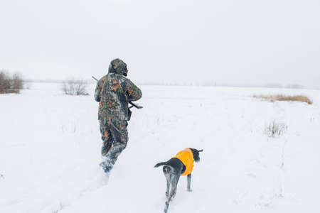 hunter and dog walking on the snowy field. back view pghoto. man and his dog are running after the killed animalの写真素材