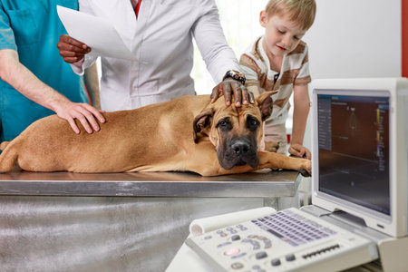 group team of veterinarian with big dog at exam in the office, help sick pets, treat animals....
