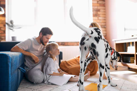 pastime at home of young family, playful dog near young man, woman and child girl drawing on the floorの写真素材