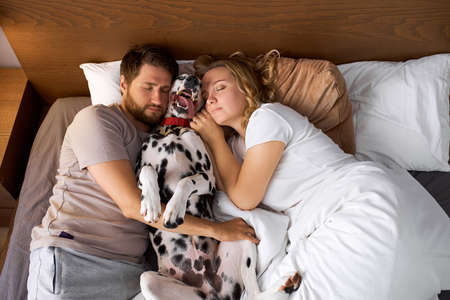 beautiful married couple sleep with dog on bed, they lie together in the morning. relax, pets, people conceptの写真素材