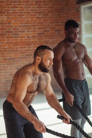 Two muscular multiracial fighters or boxers improve both strength training and endurance practicing...