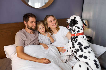 young family, man woman and daughter play with dog on bed, take care of pet, at homeの写真素材