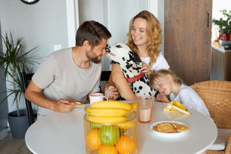 young caucasian family have breakfast together, in the kitchen. they have friendly dog pet, in love.の写真素材