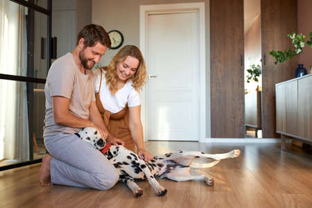 happy caucasian couple playing with pet dog at home, young family enjoy spending time with dalmatianの写真素材