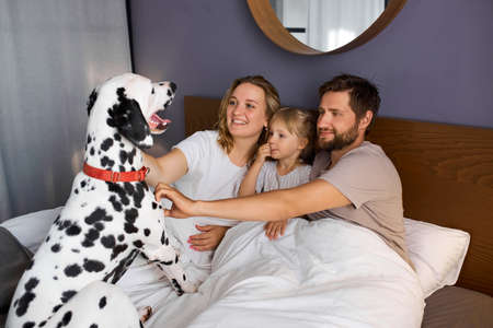 portrait of young caucasian family having fun with dog at home, parents and child rest, relax at home, take care of dalmatian dogの写真素材