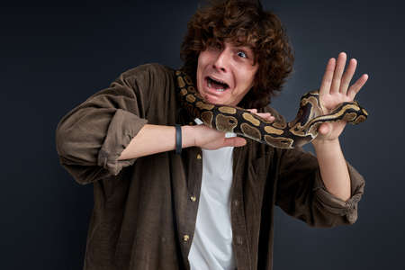man has a panic attack having snake on his shoulders, confused guy cannot move, makes funny face by fearの写真素材