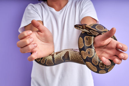 snake tied mans hands close-up. guy stand crying by fear, thinks how to get free from the shackles of the snakeの写真素材