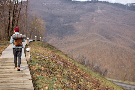 Rear View On Hipster Traveler Male In Casual Wear Walking Alone In Nature Along The Wooden Path,...