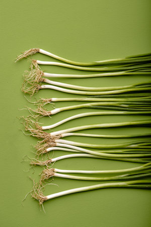 Fresh green onion or scallions or spring onion, organic vegetable tasty a bit species , decorate in...