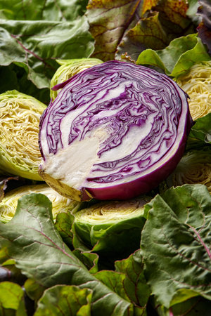 sliced red cabbage from top. Close up of an intricate pattern of purple color cabbage after slicing...