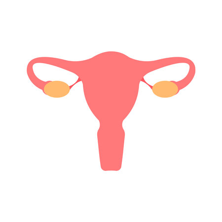 Uterus flat illustration. Fertility, human anatomy, Female reproductive system. Cervix, ovary, fallopian tube icon.
Can be used for topics like science, biolody, medicinceのイラスト素材