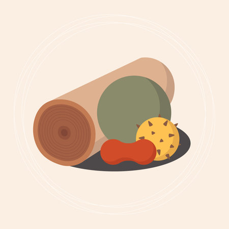 Set for doing myofascial release massage therapy. Foam roll, small fitness ball, spiky ball and peanut ball. Workout and exercise concept. For topics like recovery, physical therapy, pain reliefのイラスト素材