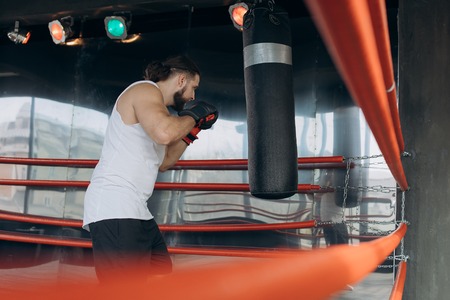 Professional young boxer in the ring, practice the technique of strikes, rack, defense and endurance, wet on the training, in front of the cameraの写真素材