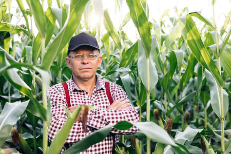 Portrait of the thoughtful senior male farmer looks at camera. Senior Farmer smiling. Close up of the Caucasian good looking man smiling to the cameraの写真素材