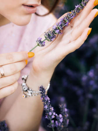 Girl hand holding beautiful lavender flowers in sunny light in meadow. Aroma herbs. Atmospheric calm rural image. Woman hand holding a bouquet of summer flowers.の写真素材