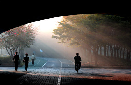 man with umbrella walking to light in a misty forest