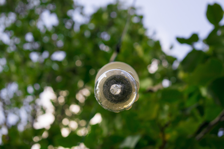 Light Bulb from bottom angleの写真素材