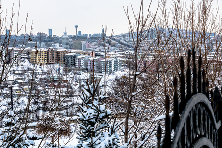 winter snow park humanの写真素材