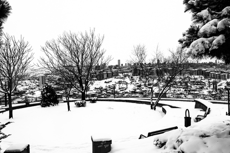 winter snow park humanの写真素材