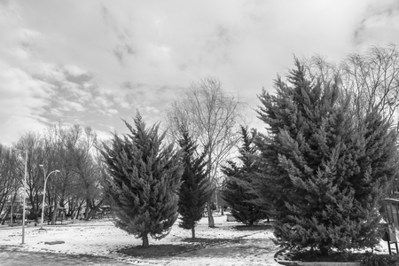 winter snow lake landscape natureの写真素材