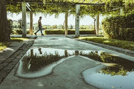 park, ornamental pool flowers and colorの写真素材