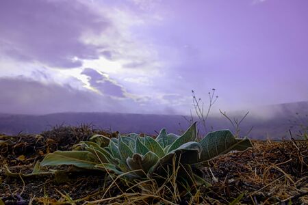 mountain cloudのeditorial素材