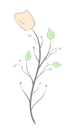 Branch with flower and leaves in an artistic style, light colors and lines on a white background.のイラスト素材