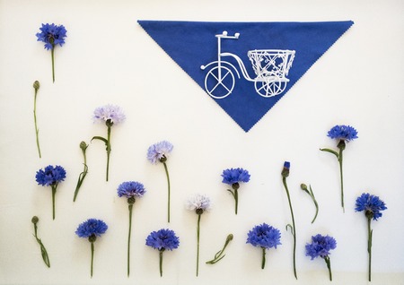Blue cornflowers and white bike. Overhead view. Flat lay, top view. Place for your text.の写真素材