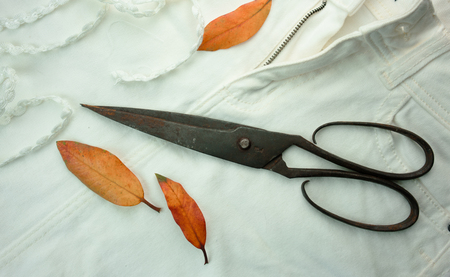 still life. old rusty scissors and yellow leaves on white cloth.の写真素材