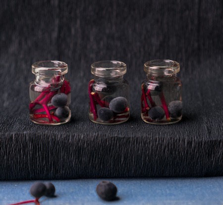still life. small apothecary jars of canned wild grapesの写真素材