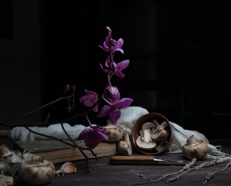 still life, vintage. mushrooms on a dark wooden table. art, old paintingsの写真素材