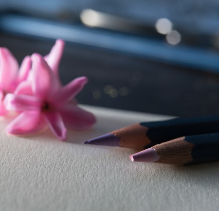 Spring. pencils and pink hyacinth flower on white paper. close-upの写真素材