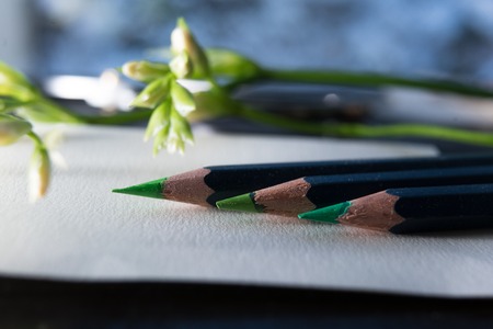 spring, set of green pencils and freesia branch on white paper. close-upの写真素材