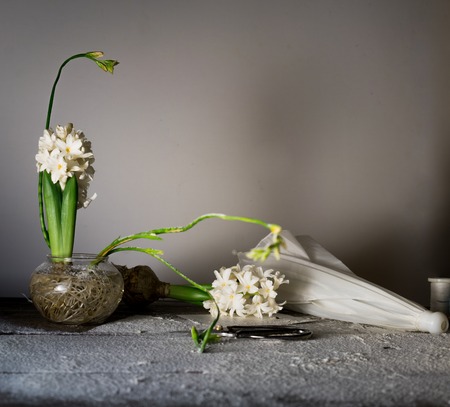 Still Life with an umbrella, hyacinths and freesias in glass vases.の写真素材