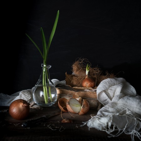 Still life with onions on a wooden table on a dark backgroundの写真素材