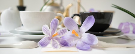 Header, banner for site design. Set of dishes for serving. Horizontal format, space for textの写真素材