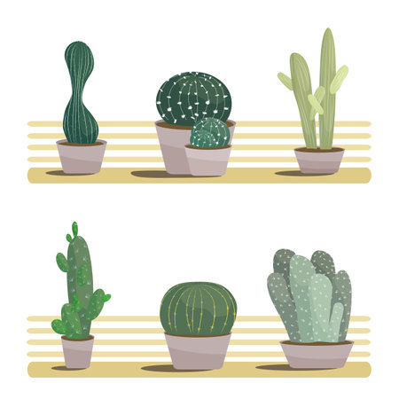 Set of 6 different cacti in pots placed on wooden shelves isolated on white background Vector illustration in flat cartoon style Green houseplants collectionのイラスト素材