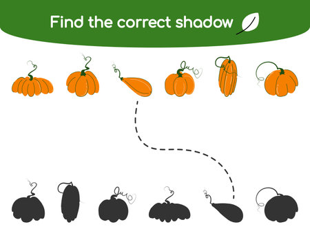 Find the correct shadow. Kids educational game. Cute simple pumpkins in different shapes. Vector illustration in flat cartoon style for childrens books and magazinesのイラスト素材