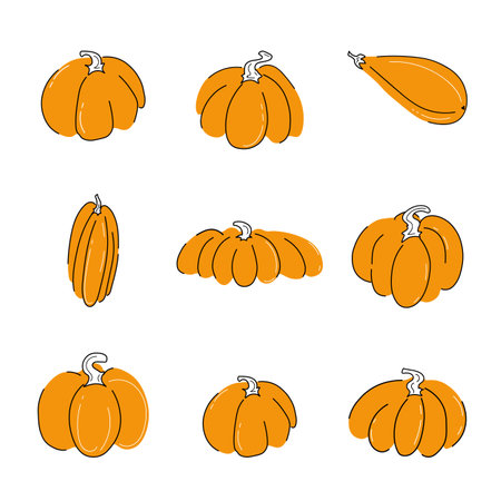 Pumpkins set vector illustration isolated on white background. Different shapes and sizes. Orange and white color with black outline flat doodle style designのイラスト素材