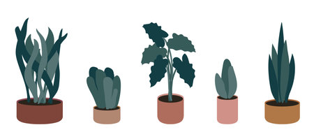 Green potted houseplants vector illustration. Set of interior house plants for office and room decor. Hygge flat style collection isolated on white backgroundのイラスト素材