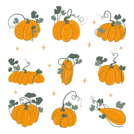 Pumpkins set vector illustration with stars Collection of Halloween and Thanksgiving day elements Flat doodle style design All objects are isolated on white backgroundのイラスト素材