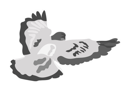 Flying gray dove isolated on white background. Grey bird in view from the back. Vector illustration in flat cartoon style. Hand drawn iconのイラスト素材